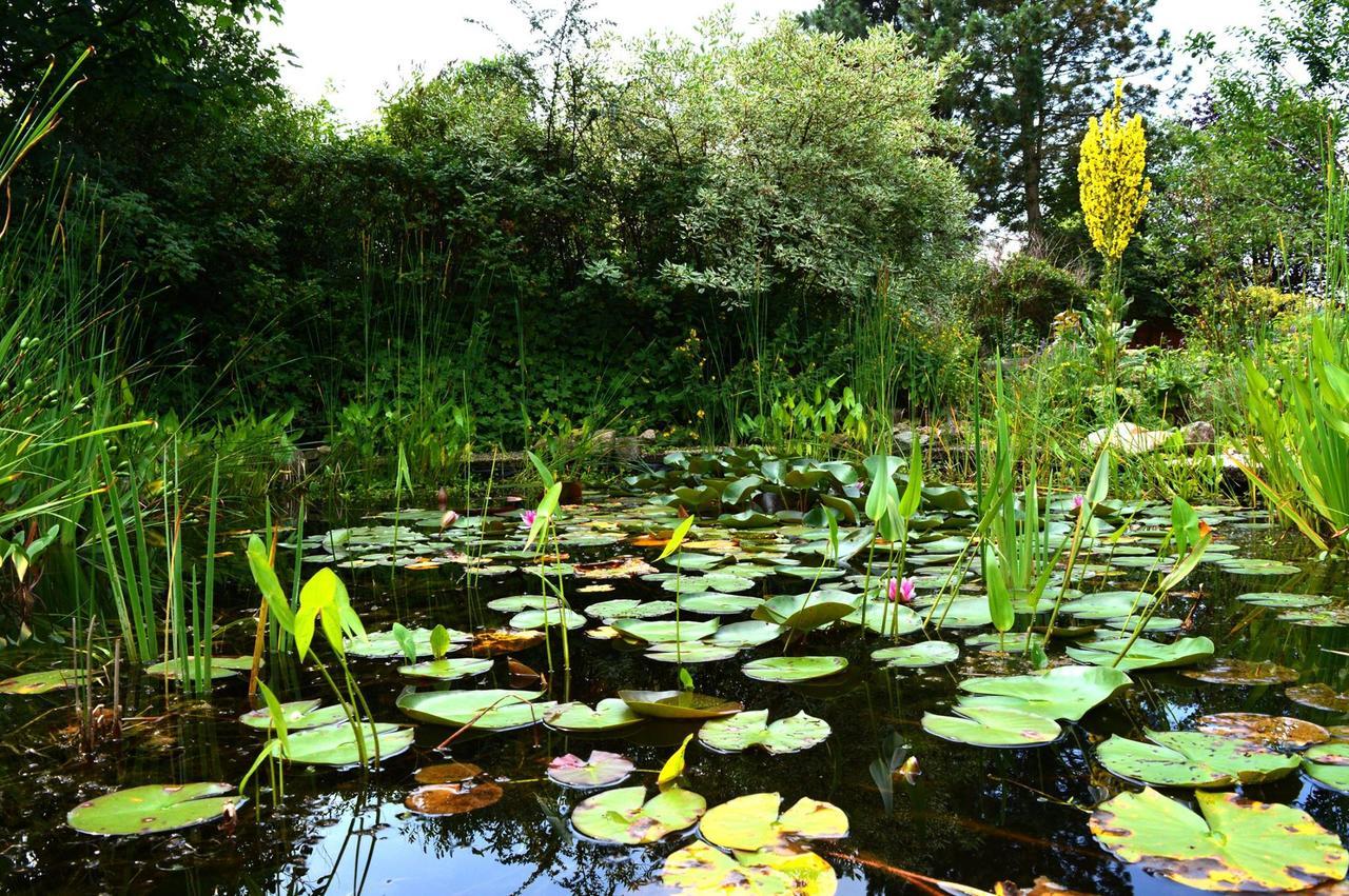 Bed And Breakfast Uelsen Zewnętrze zdjęcie